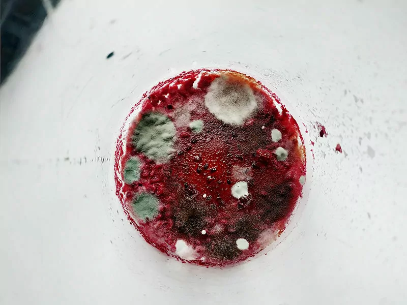 Cranberry Juice With Mold Appearance