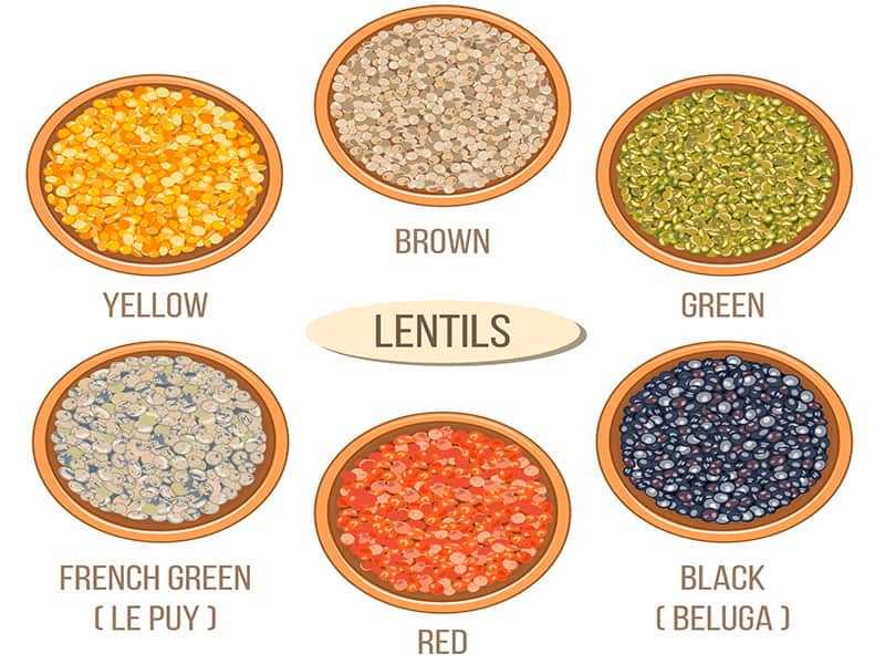 Different Types Lentils Ceramic