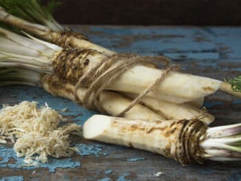 Does Horseradish Go Bad