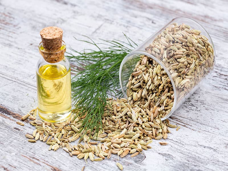 Fennel Essential Oil