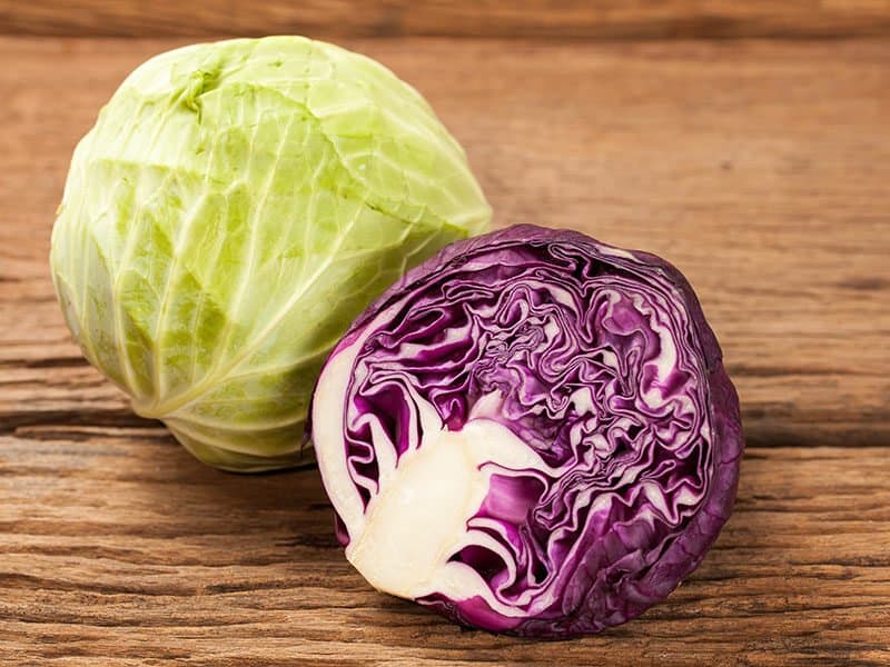 Green and Red Cabbage