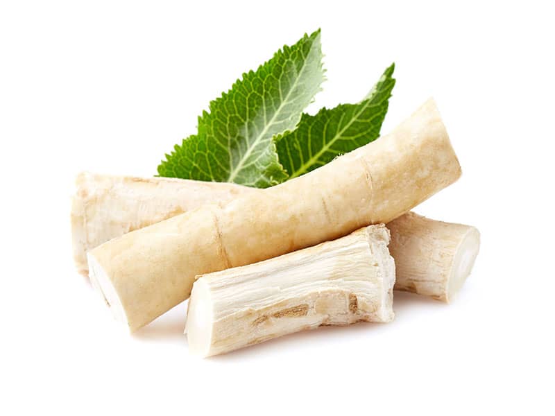 Horseradish Root Leaves