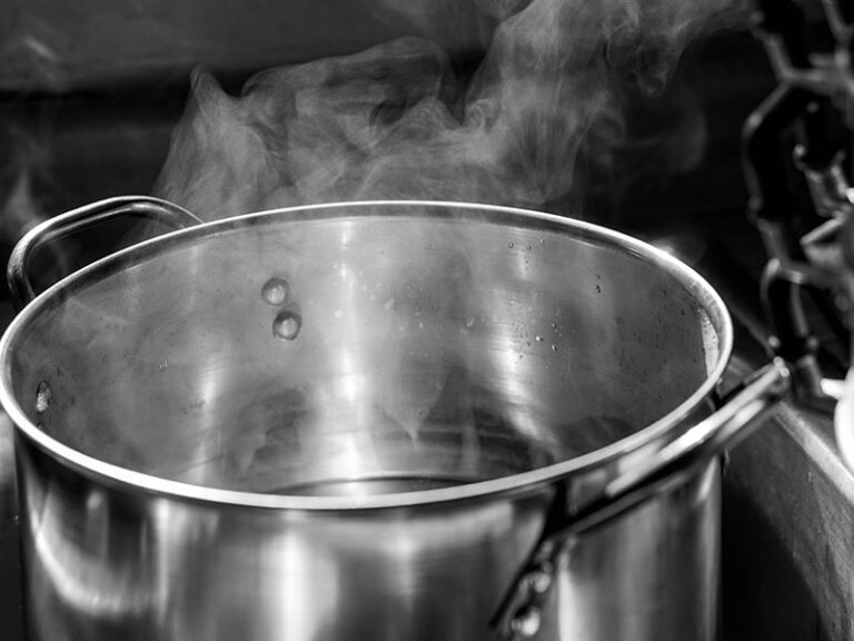 Hot Water Steam Pot