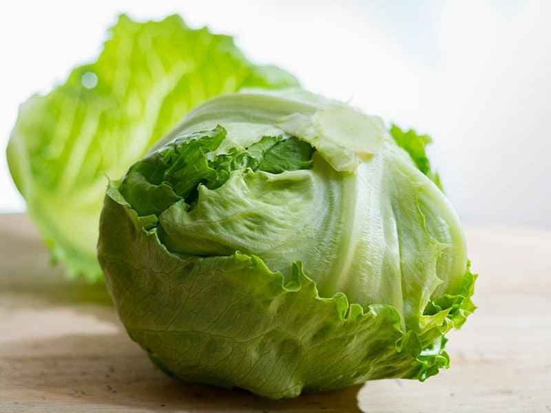 Iceberg Lettuce