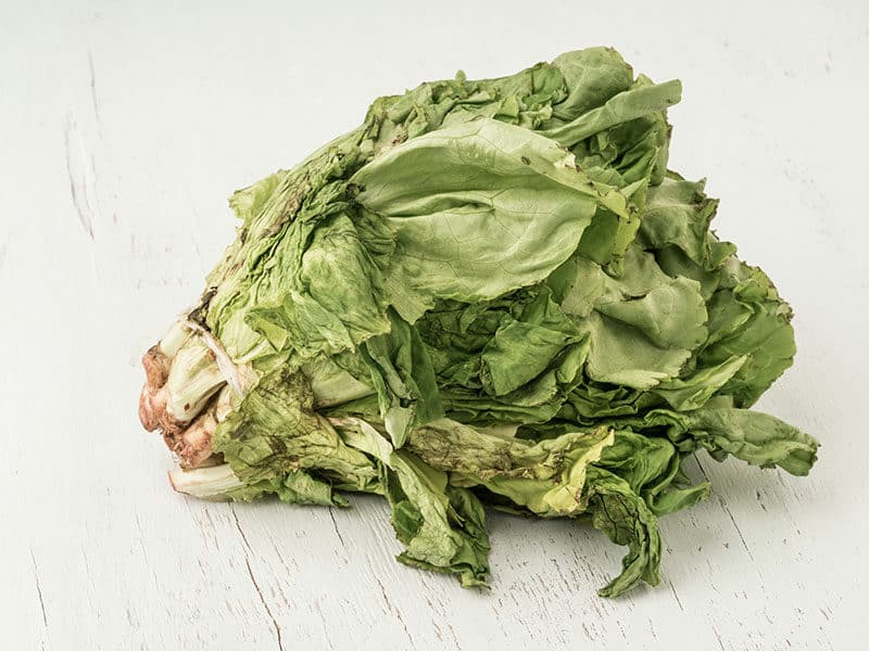 Lettuce Has Signs Rotten