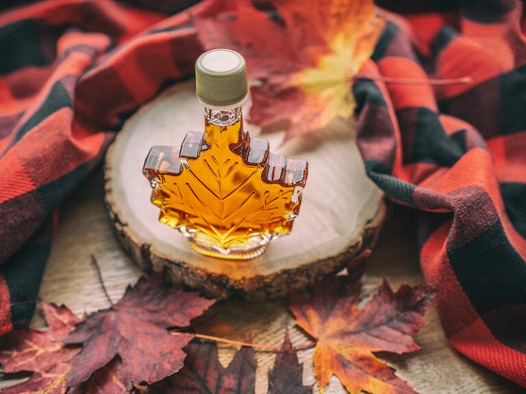 Maple Syrup Shelf Life 2024 Insights