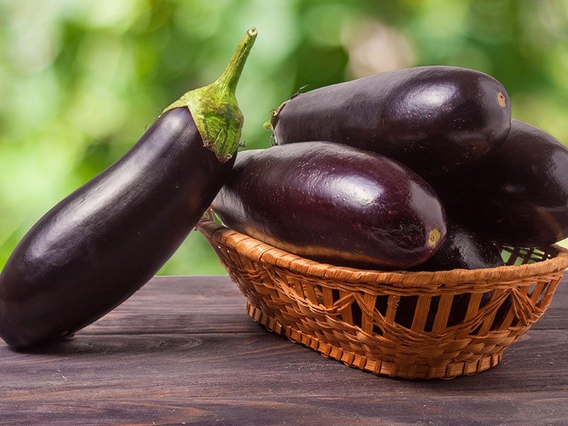 Medium Eggplant