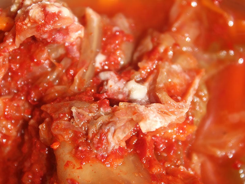 Mold Grown On Kimchi 