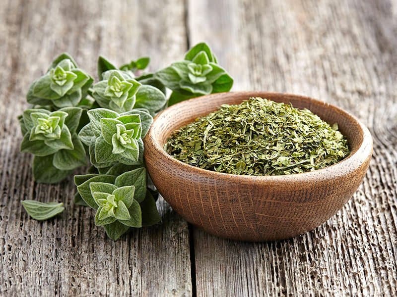 Oregano Comes Dry And Fresh 