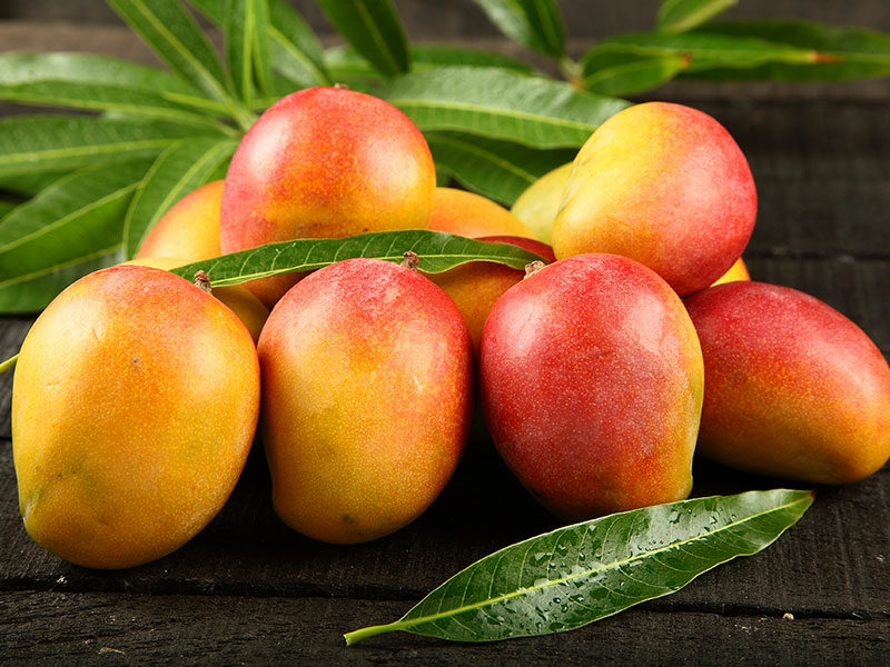 Ripe Mangoes