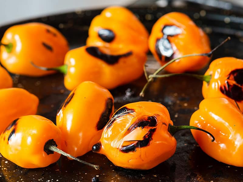 Roasted Habanero Peppers