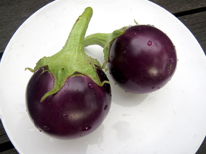 Small Round Purple Eggplants