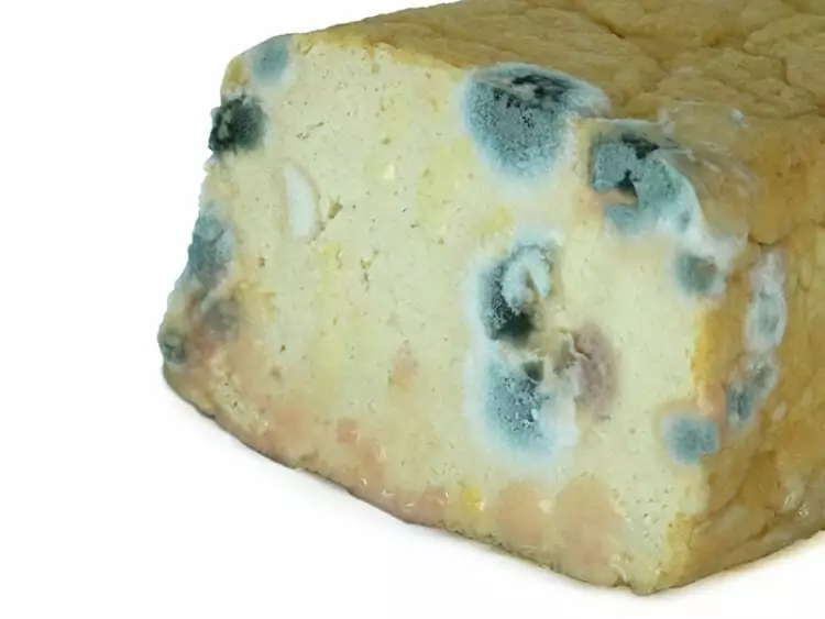Does Tofu Go Bad? Tips to Extend Shelf Life and More