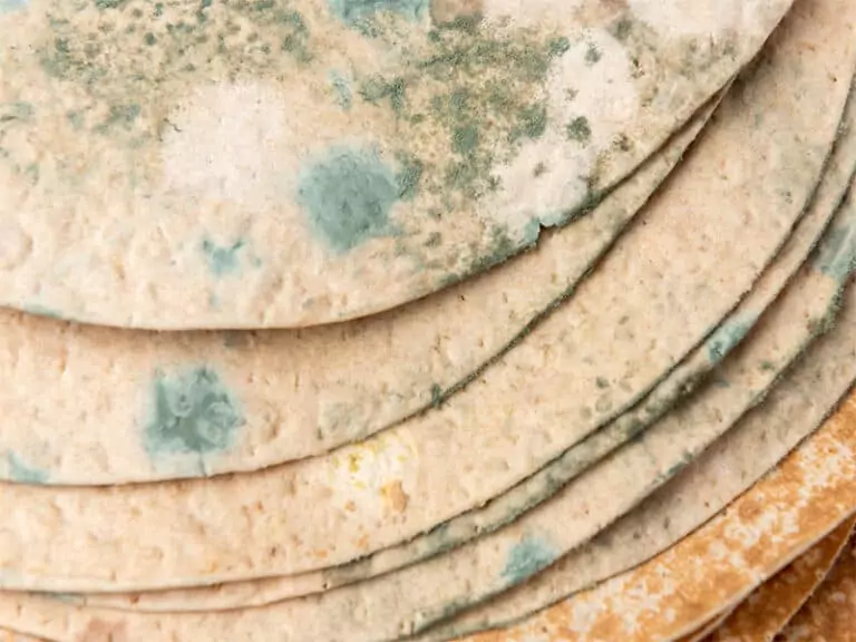 Do Tortillas Go Bad? How to Recognize Spoiled Tortillas and Maintain