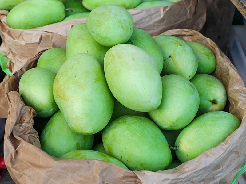 Unripe Mangoes