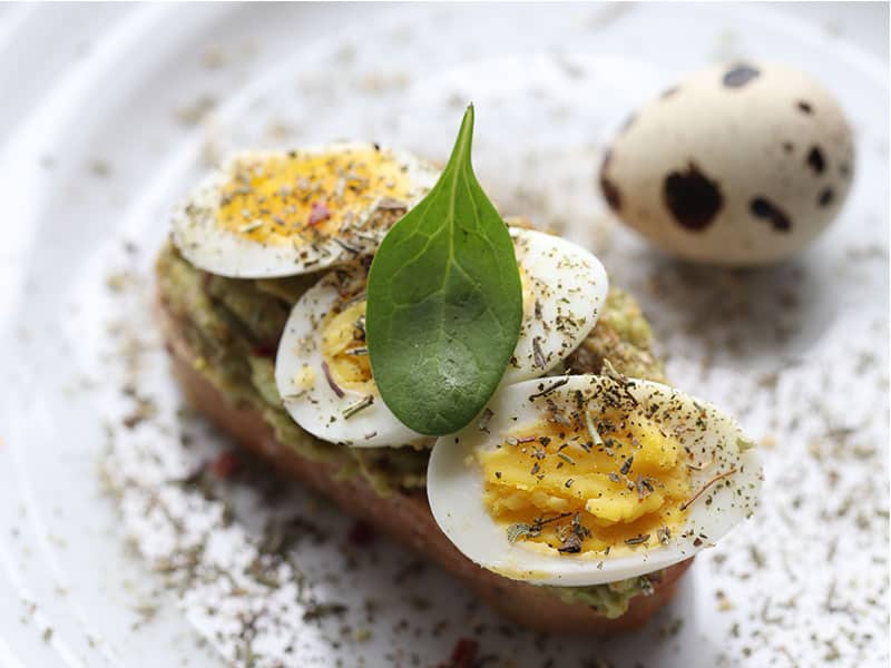 Vegetarian Breakfast Avocado