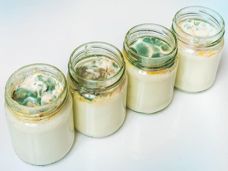 Yogurt Mold Glass Container