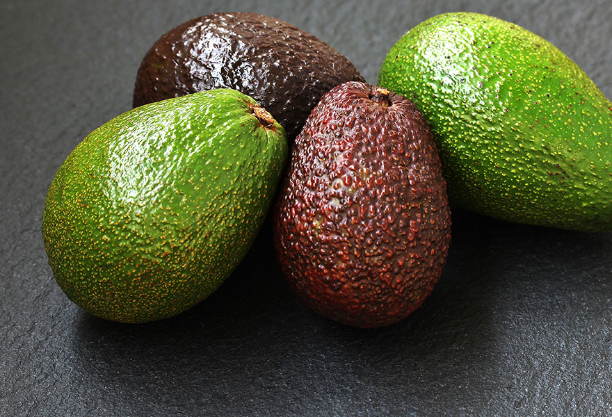 Avocado Different Types