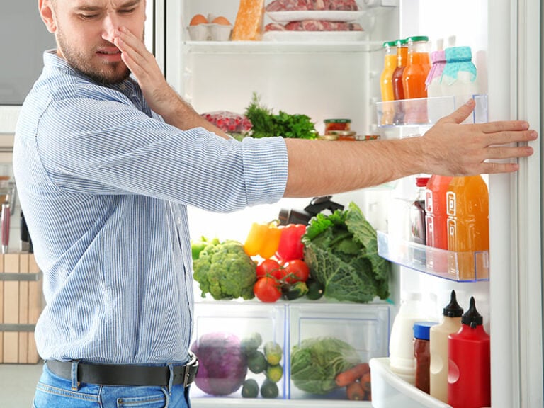 Does Lime Juice Go Bad? The Facts 2024