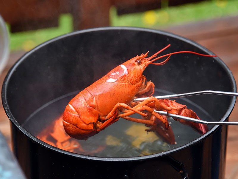 Cook Lobster Boil