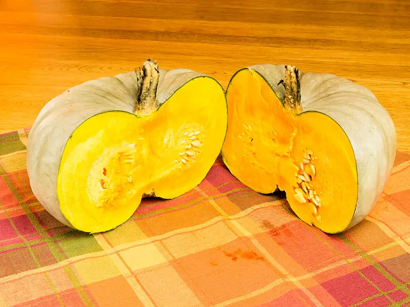 Cut Jarrahdale Winter Squash