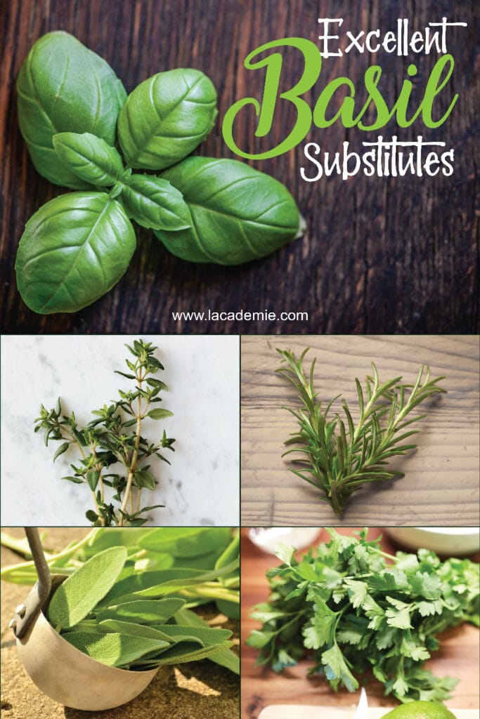 Excellent Basil Substitutes