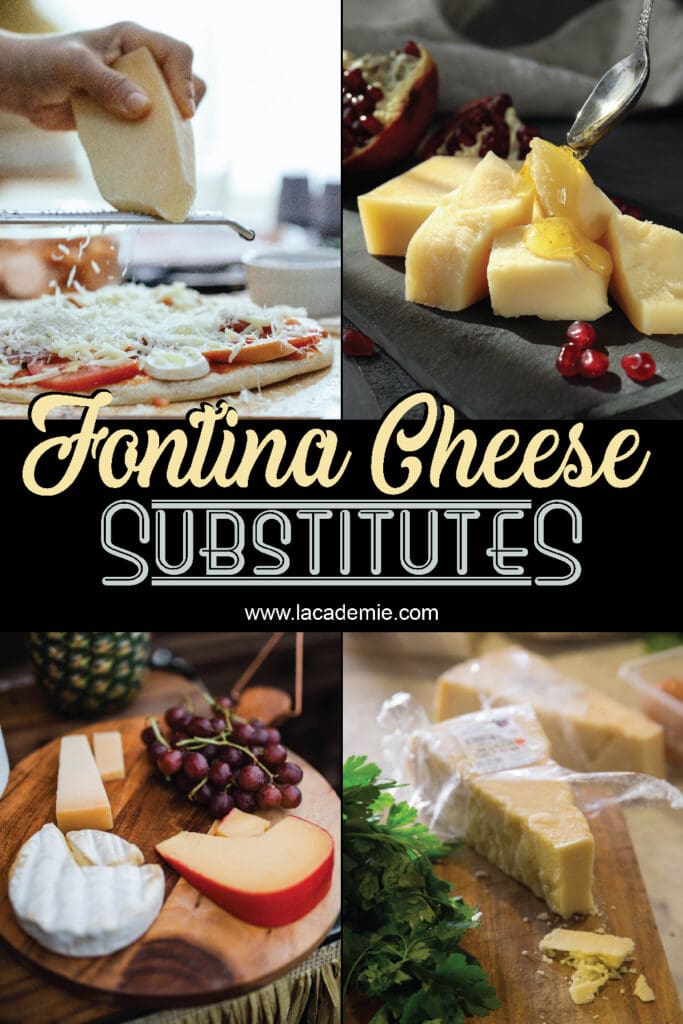 Fontina Cheese Substitutes