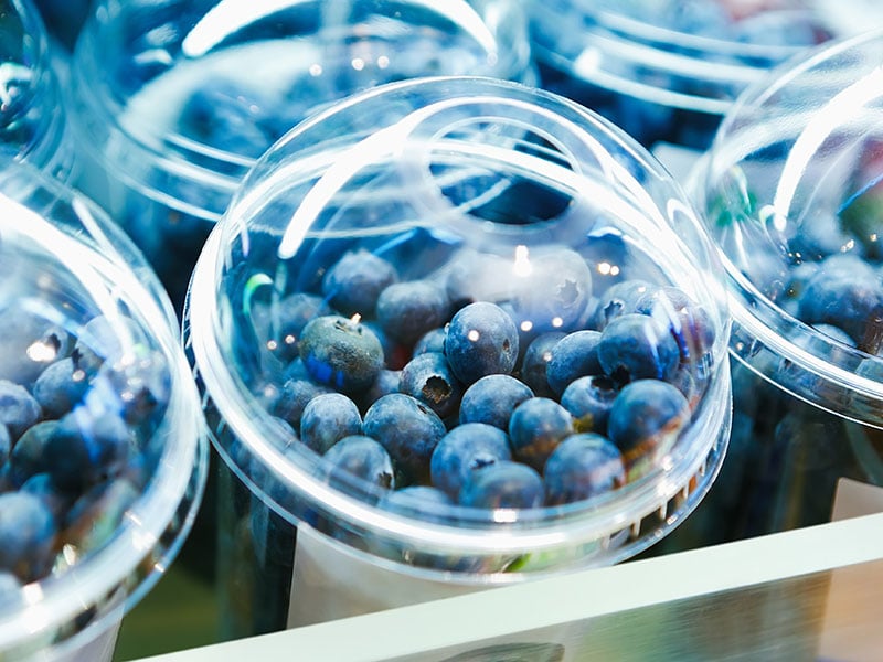 Fresh Blueberries Plastic Container