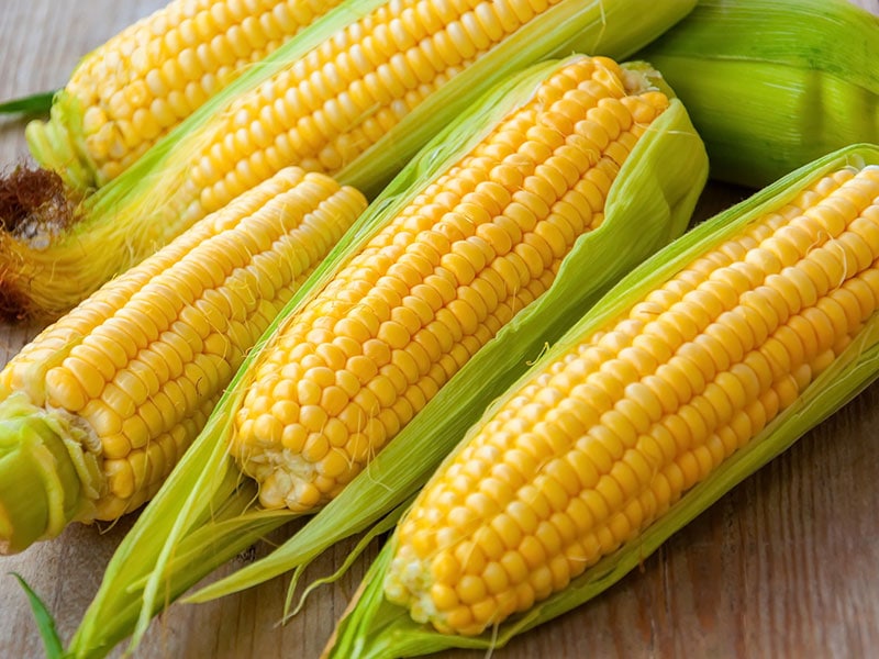 Fresh Corn On Cobs