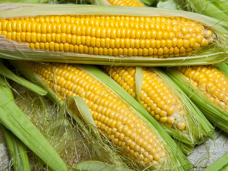 Fresh Corn