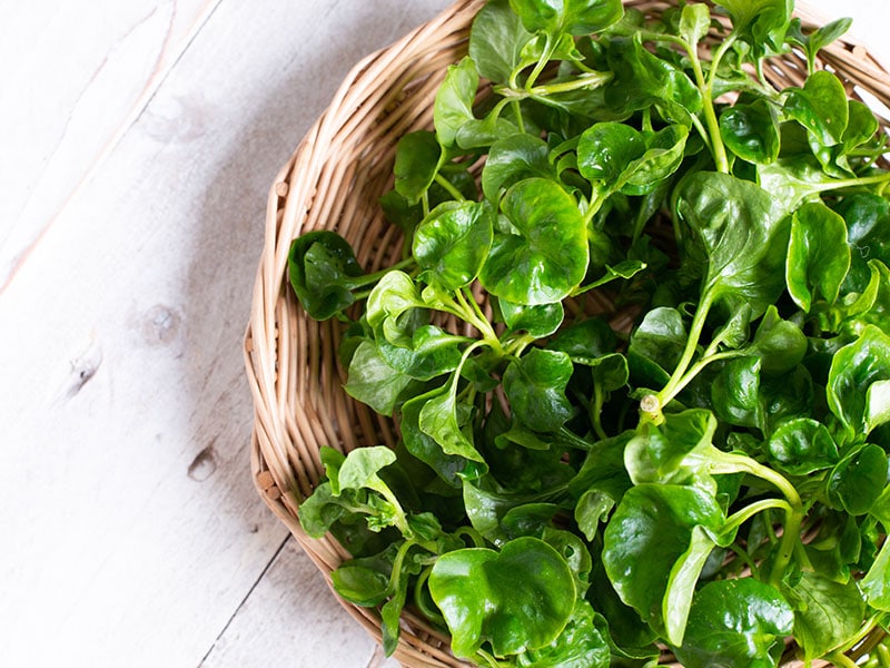 Fresh Watercress 