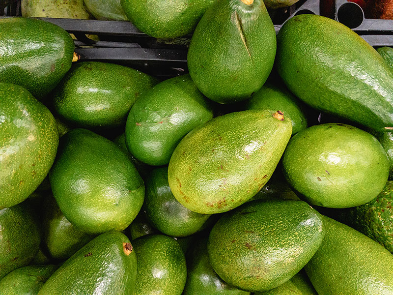 Green Avacado Fruits