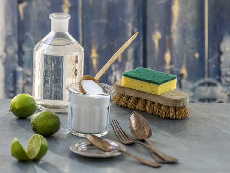 Does Lime Juice Go Bad? The Comprehensive Guide In 2023