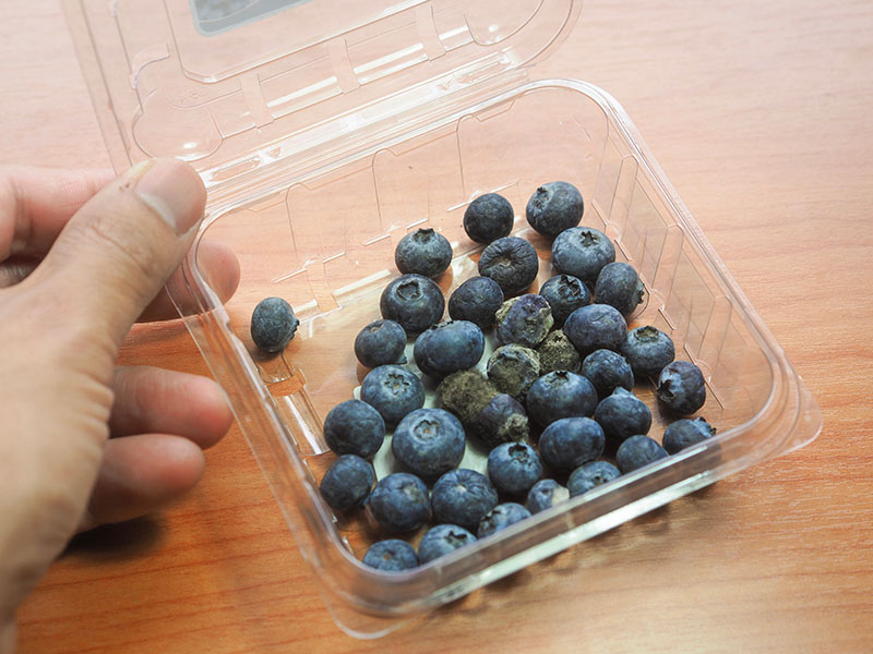 Mold Blueberry Package