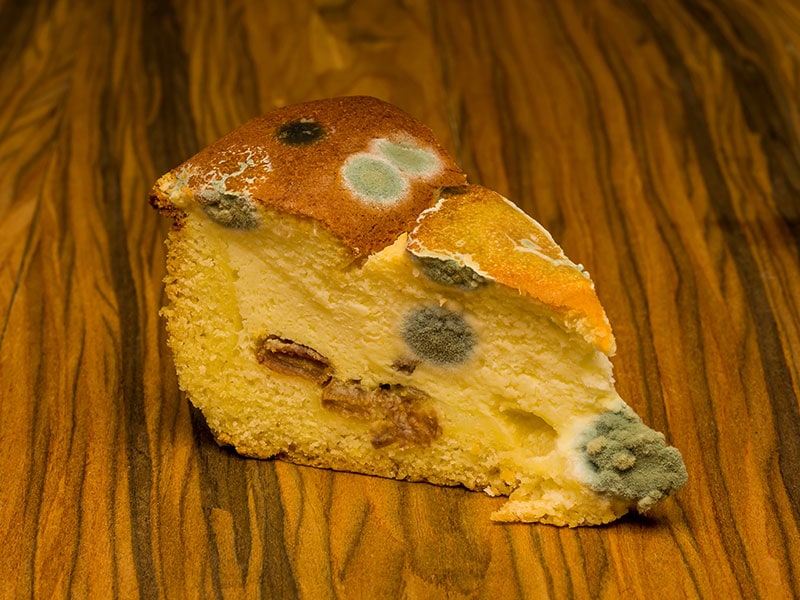 Mold Marks Cheesecake 