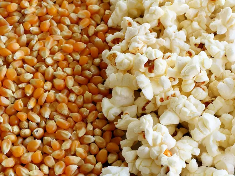 Popcorn Kernels