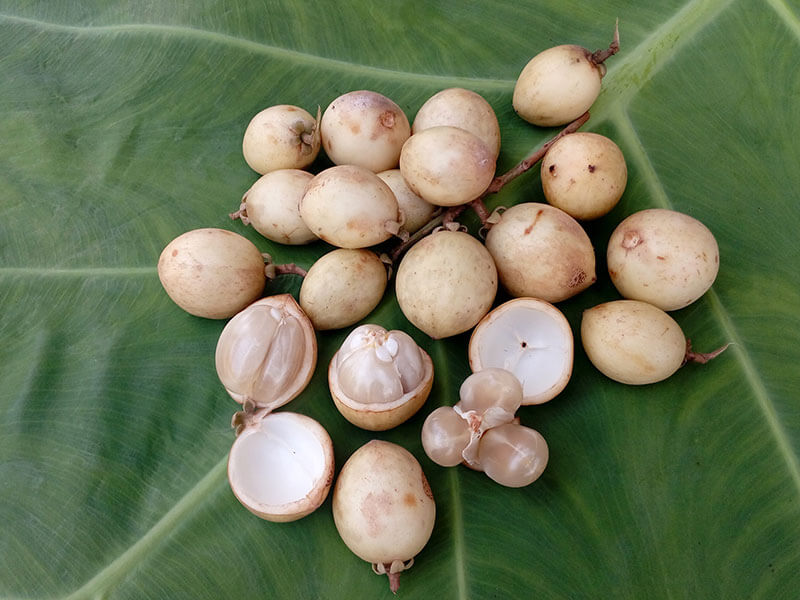 Rambai Fruit