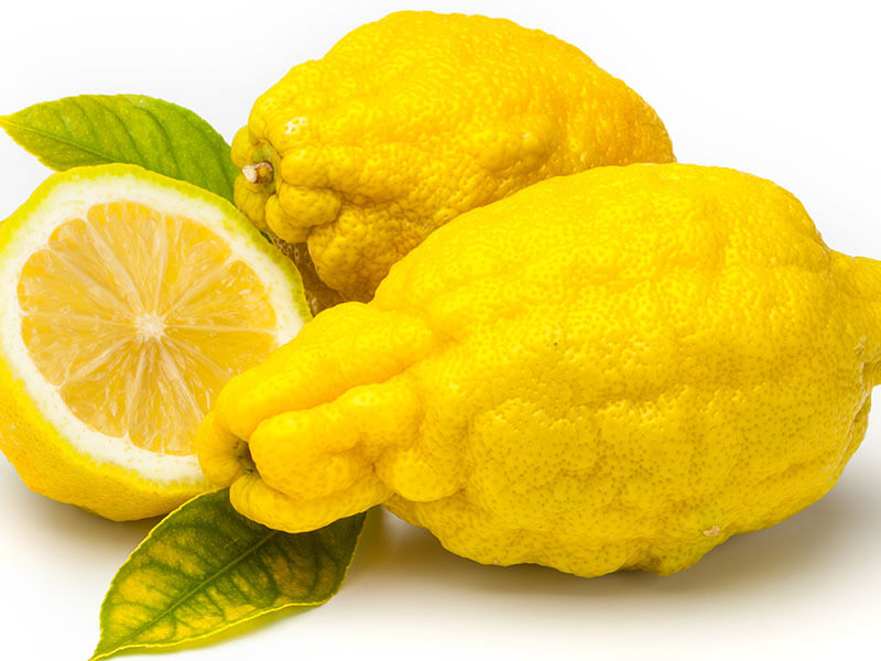 Rough Lemon Citrus Jambhiri