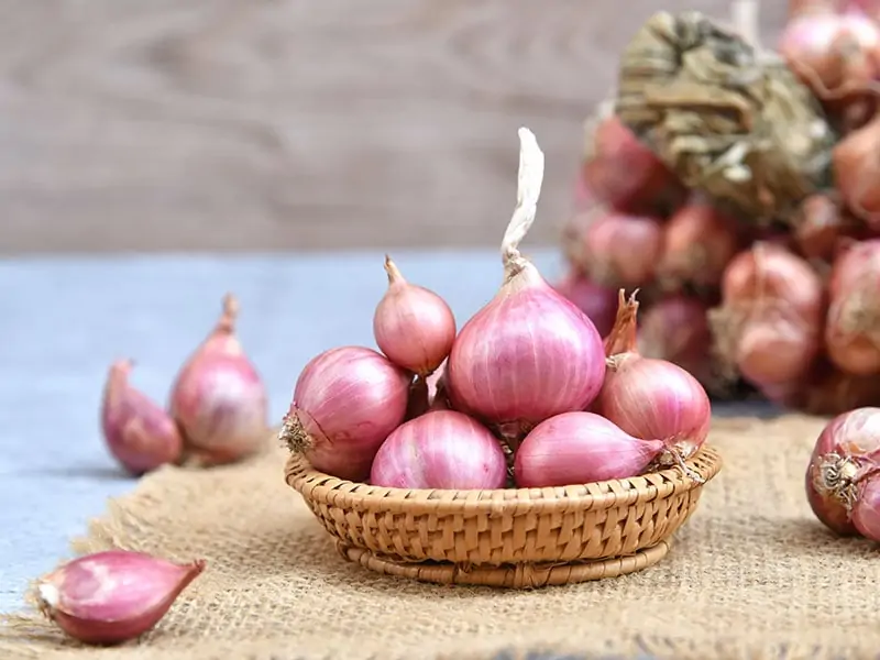 Shallots Fresh Purple