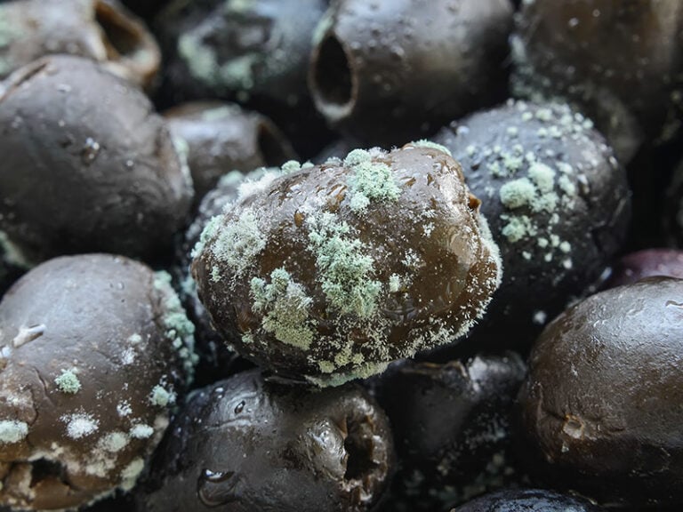 Do Olives Go Bad? The StepByStep Guide To Know In 2023