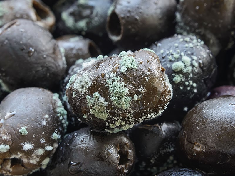 Do Olives Go Bad? The StepByStep Guide To Know In 2023
