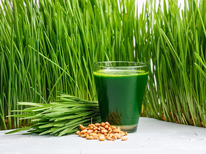 Wheatgrass Juice