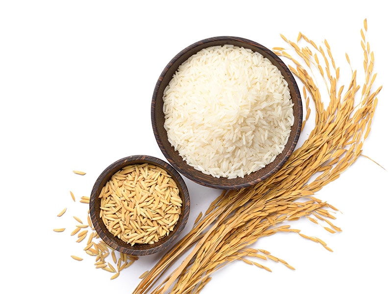 White Rice Paddy