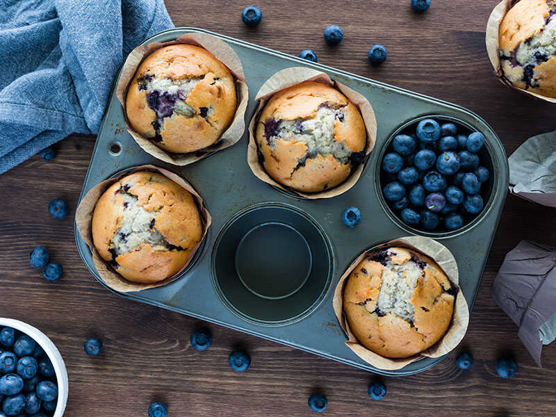Blueberry Muffins Muffin
