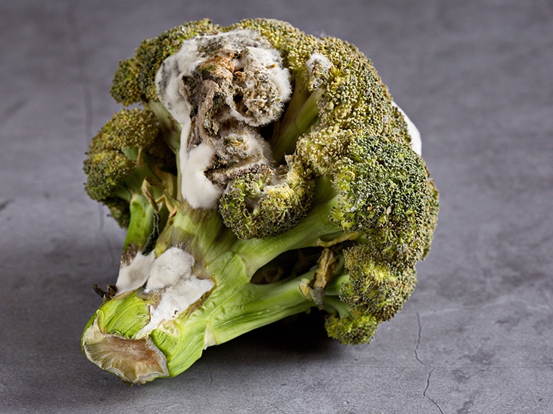 Broccoli Bad