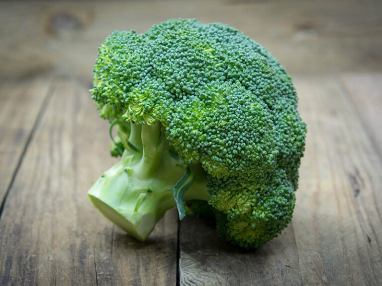 Broccoli Isolated