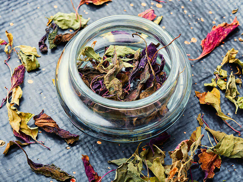 Dried Basil Leaves Herbs