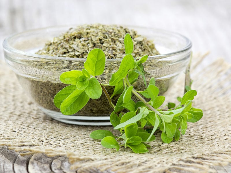 Dried Marjoram Herbs