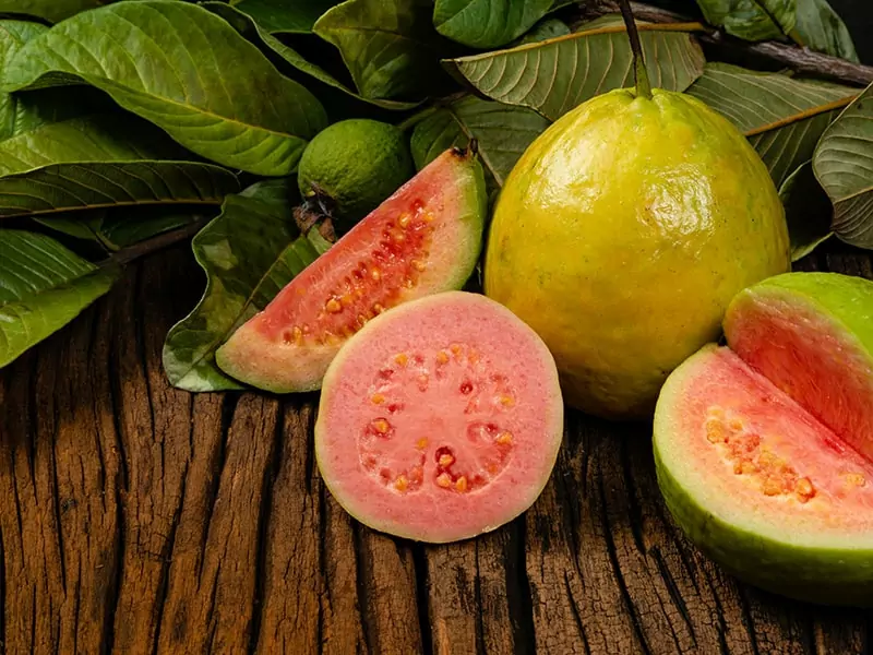 What Is a Guava?