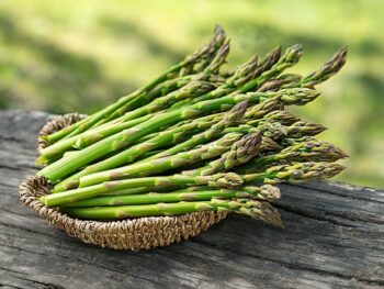 How To Store Asparagus